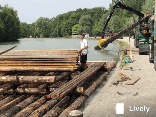 E077F816-32C9-4B71-A24F-FD98389D7B03.gif