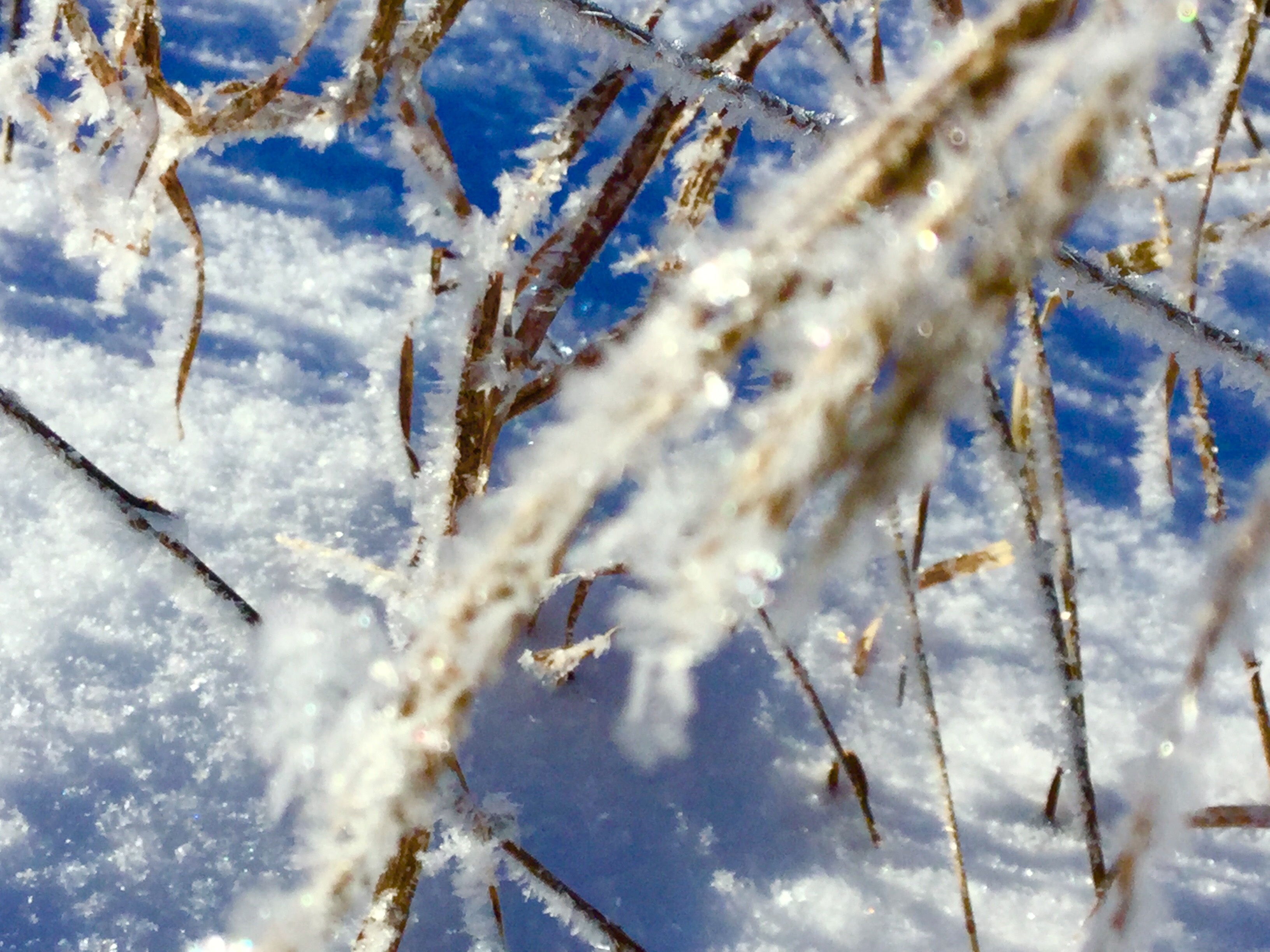 93A0E05F-9478-4F50-ABAE-B9D2194F0172.jpeg