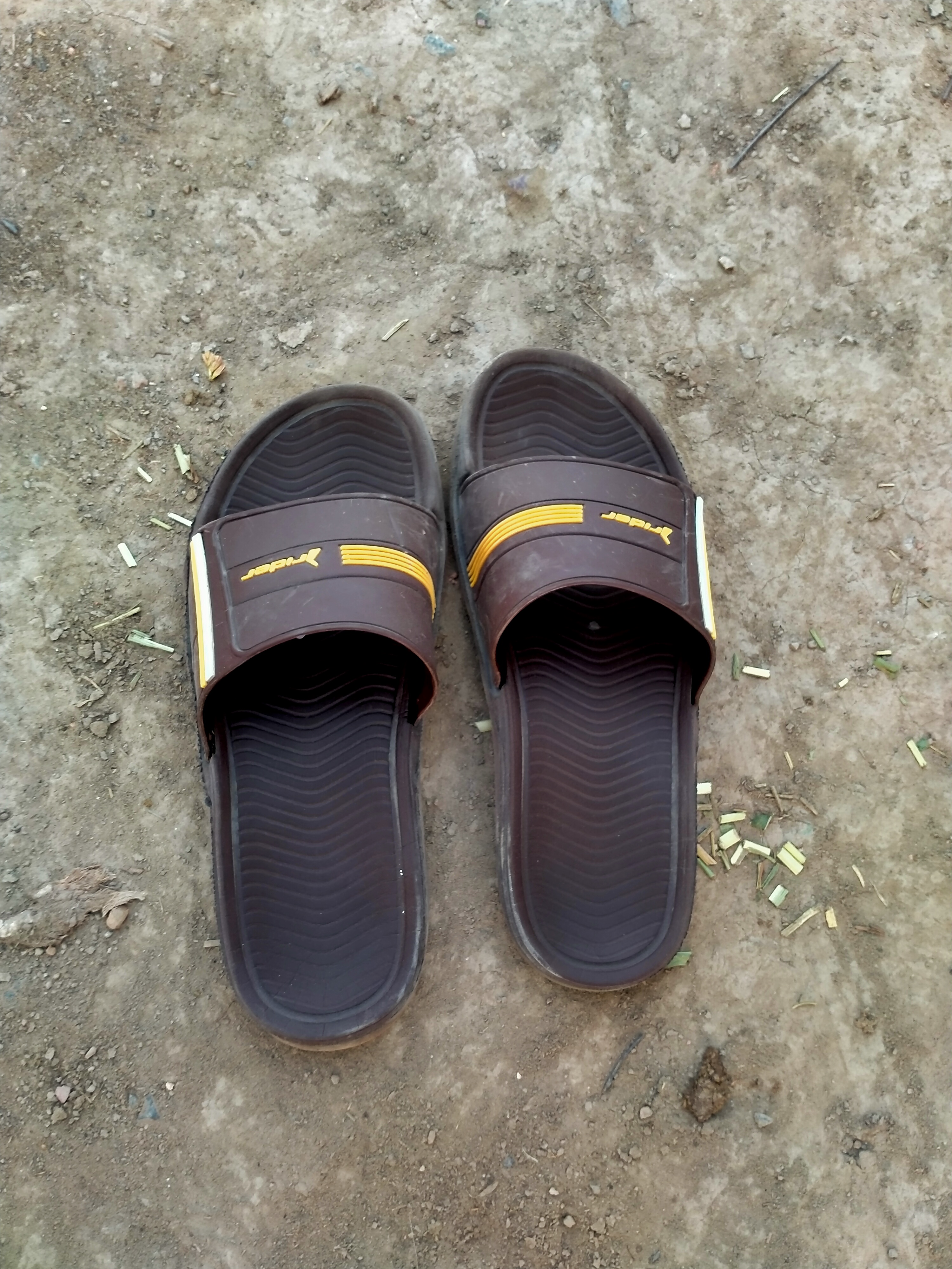 IMG20210603184810.jpg