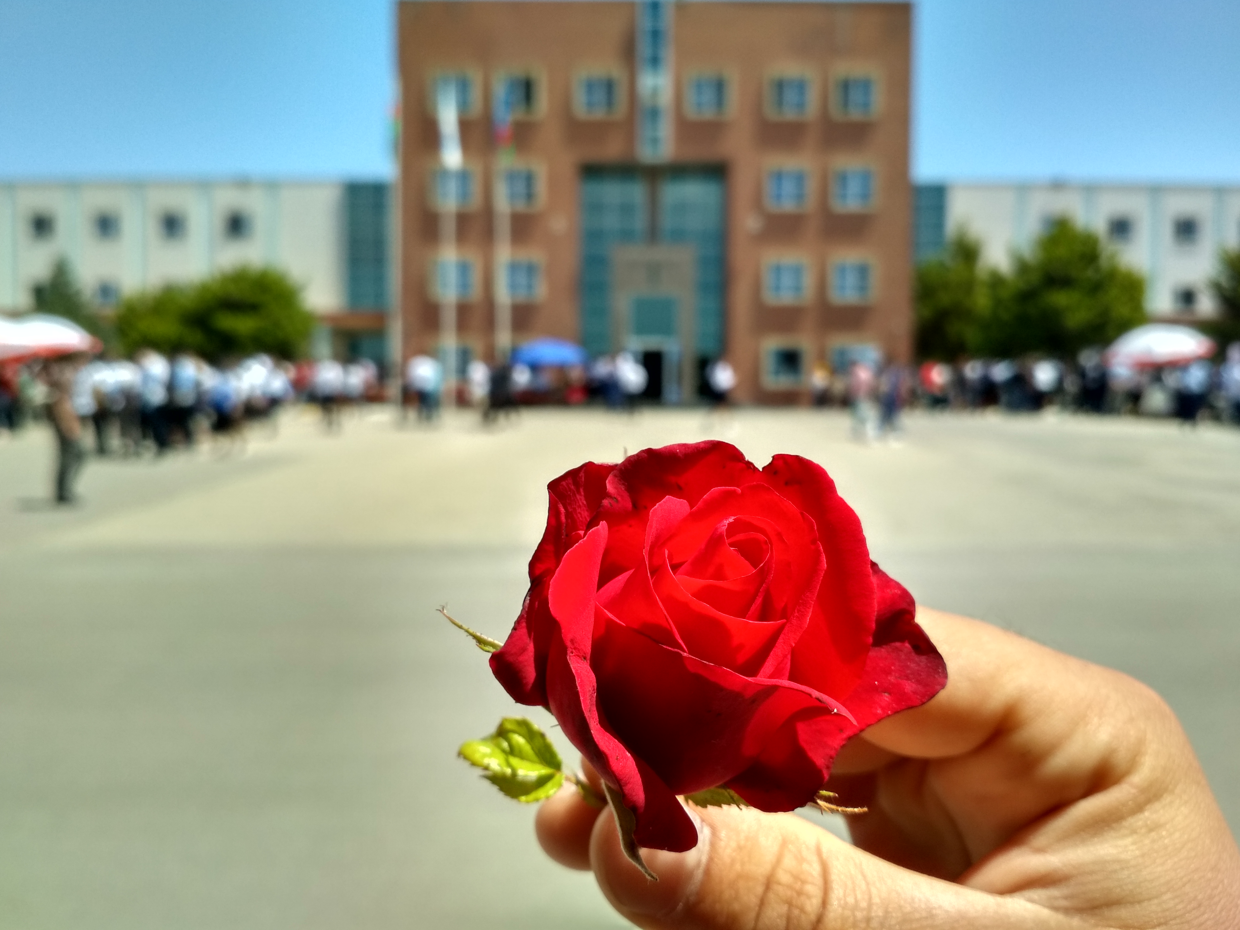 IMG_20190524_114924_HDR.jpg