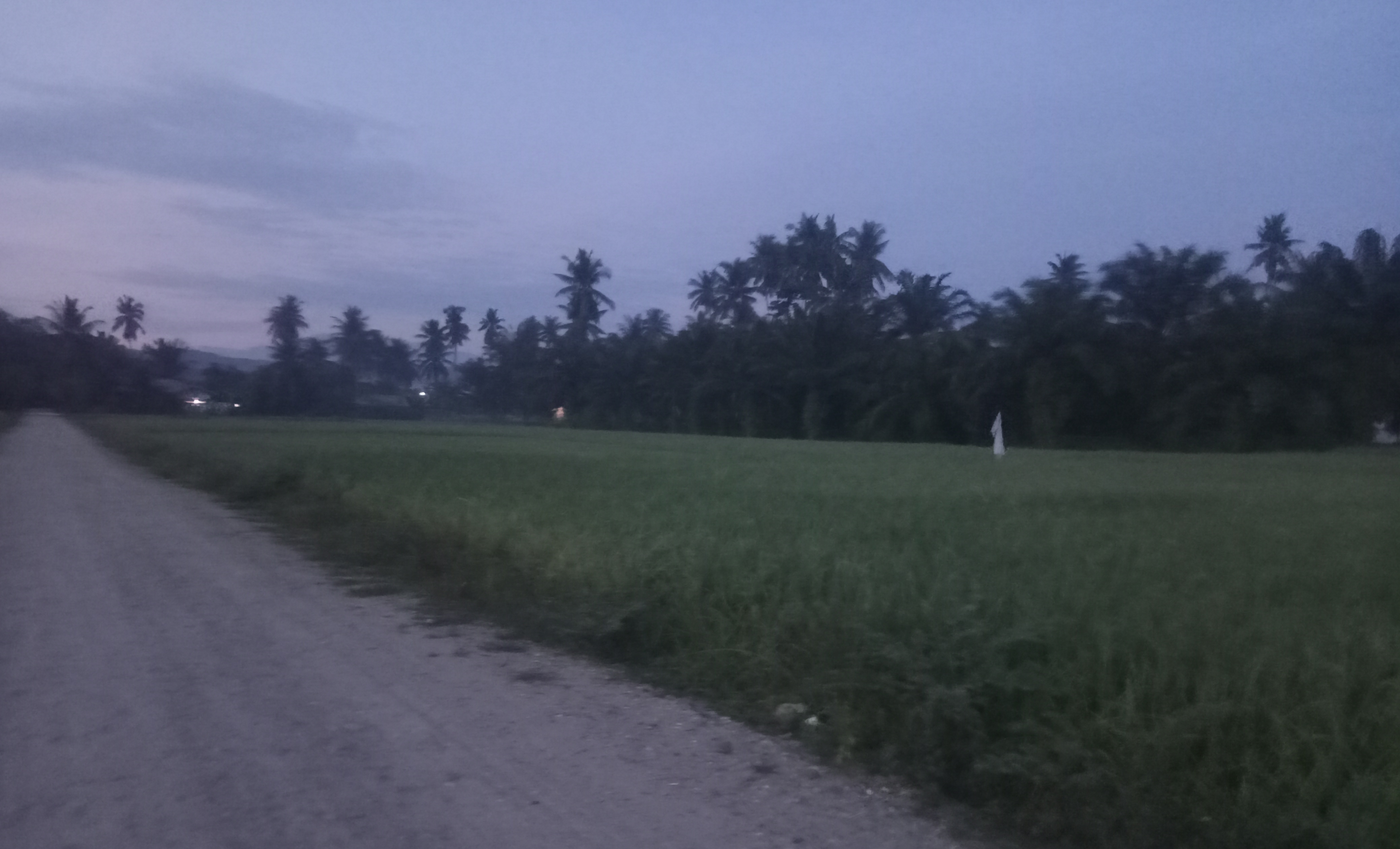IMG20260929060418_01-01.jpeg