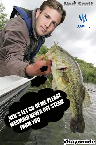 funny 3.png