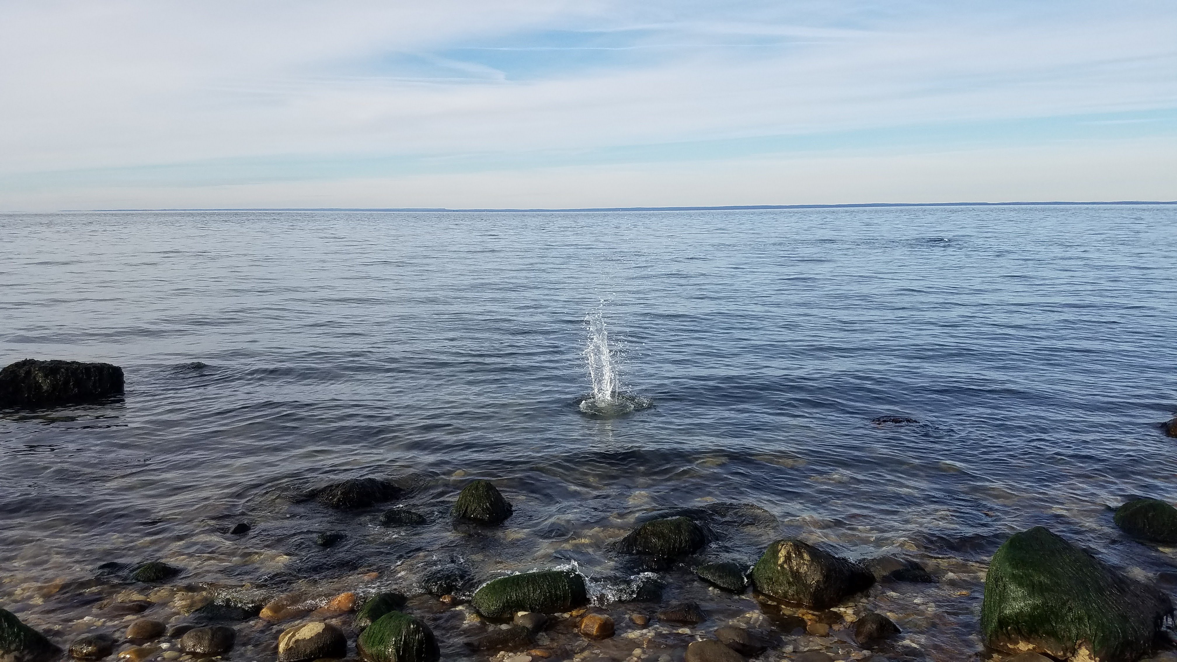 20190117_143744_001.jpg