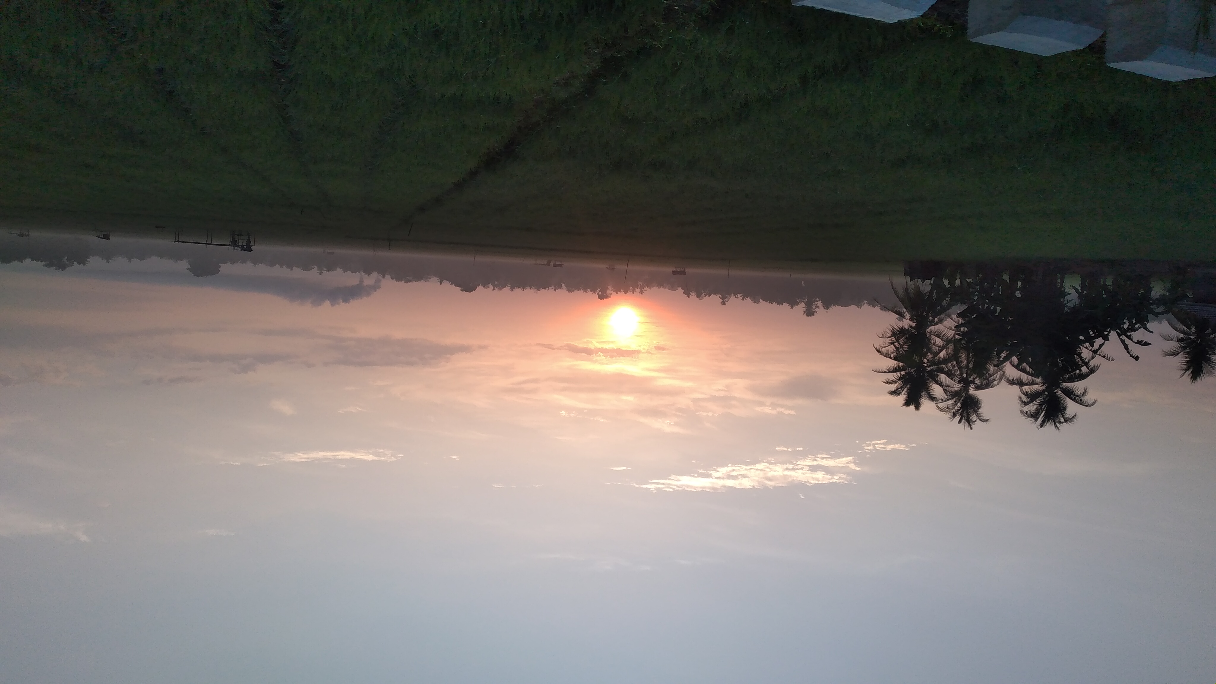 20240324_064740.jpg