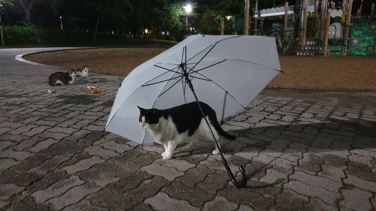 IMAGE 2019-09-04 21:27:53.jpg