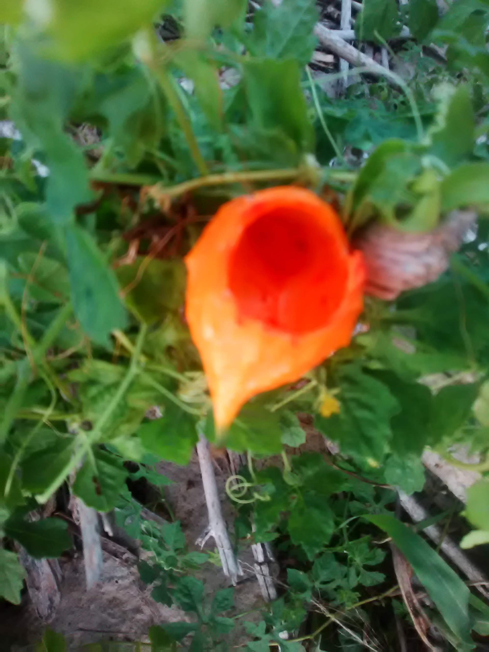 IMG_20190610_175902.jpg