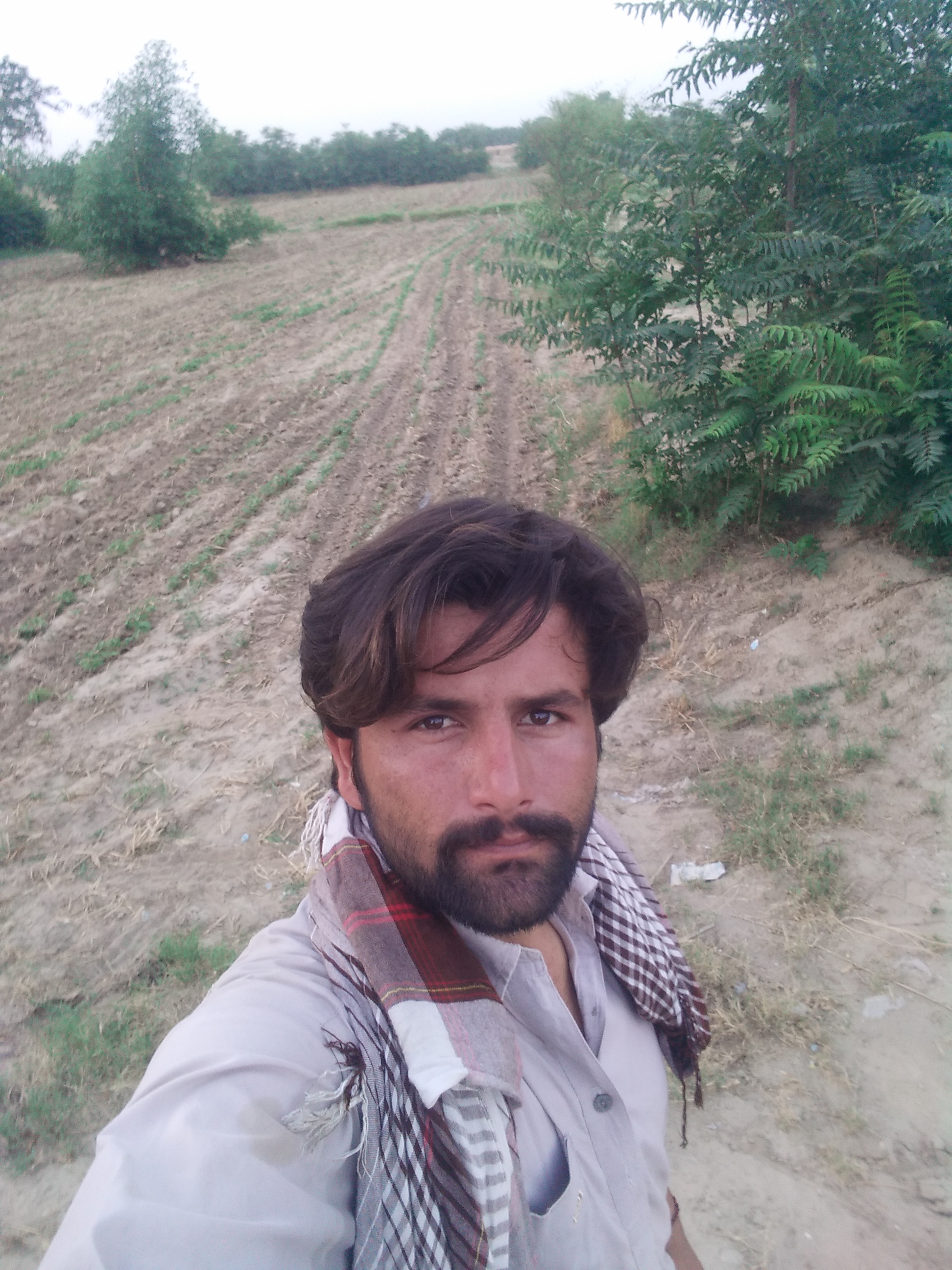 IMG20210607190953.jpg