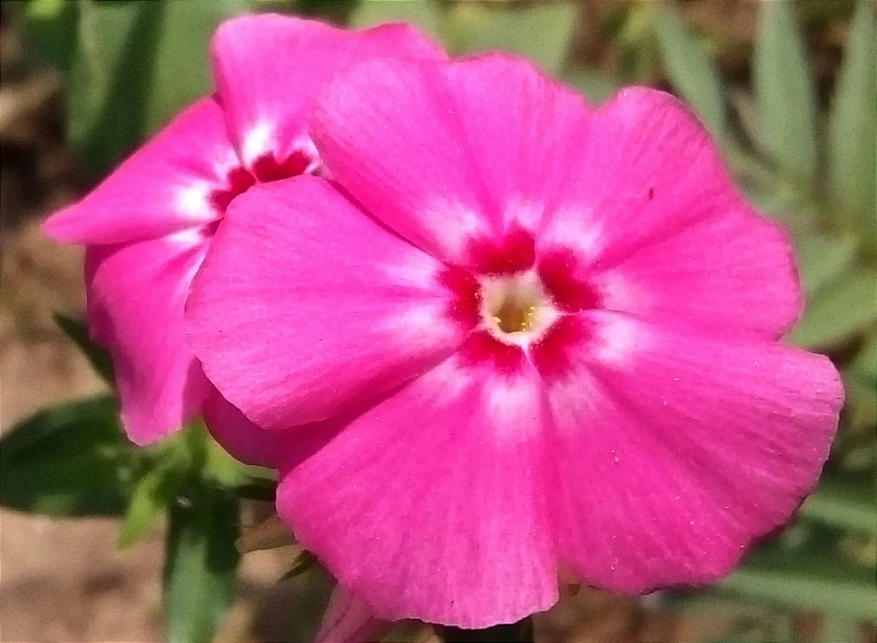 cyxkEVqiiLy5czPNg6acYev351Du9gQgrBvuGcm2hQx4cBWBDm8HawXfr2Jriw3pmHkuKbpaeQkkTb7RRHT4HqFBkfqbmSiXAdmBP7y9cHkigXp3R3PTapqSE4G2foQUGgE.jpeg