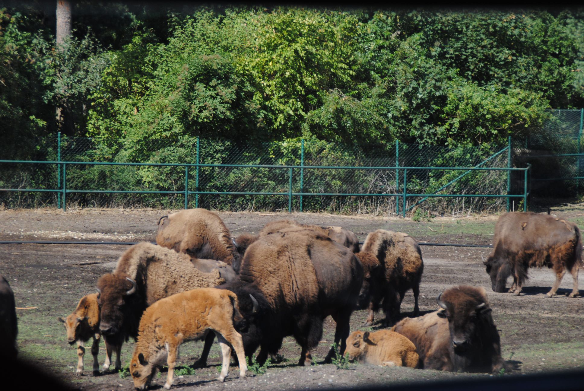 image015.jpg