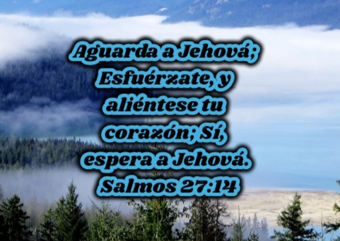 Diseñador gráfico online Creador de collage Editor de fotos - FotoJet (3).png