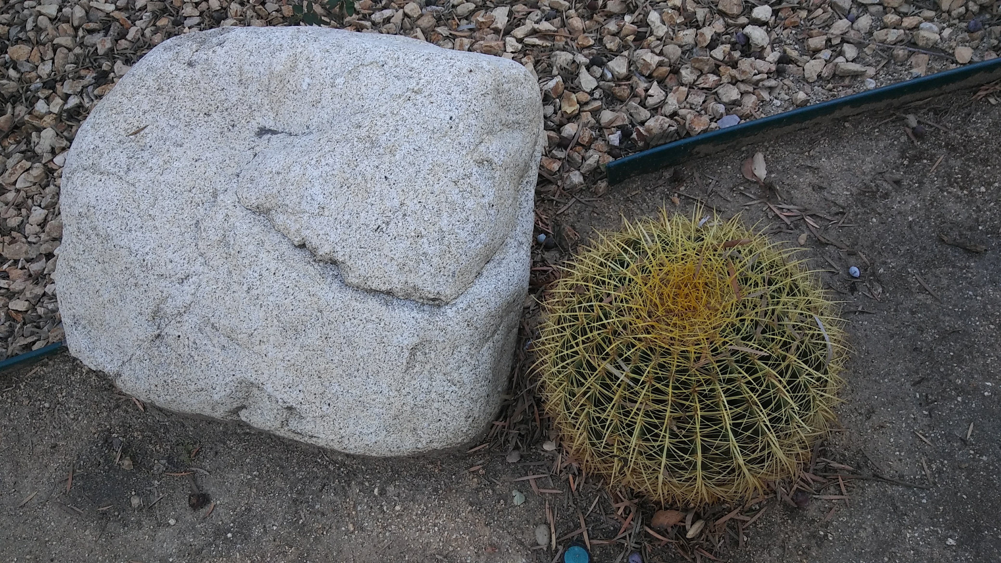 20181114_152637.jpg