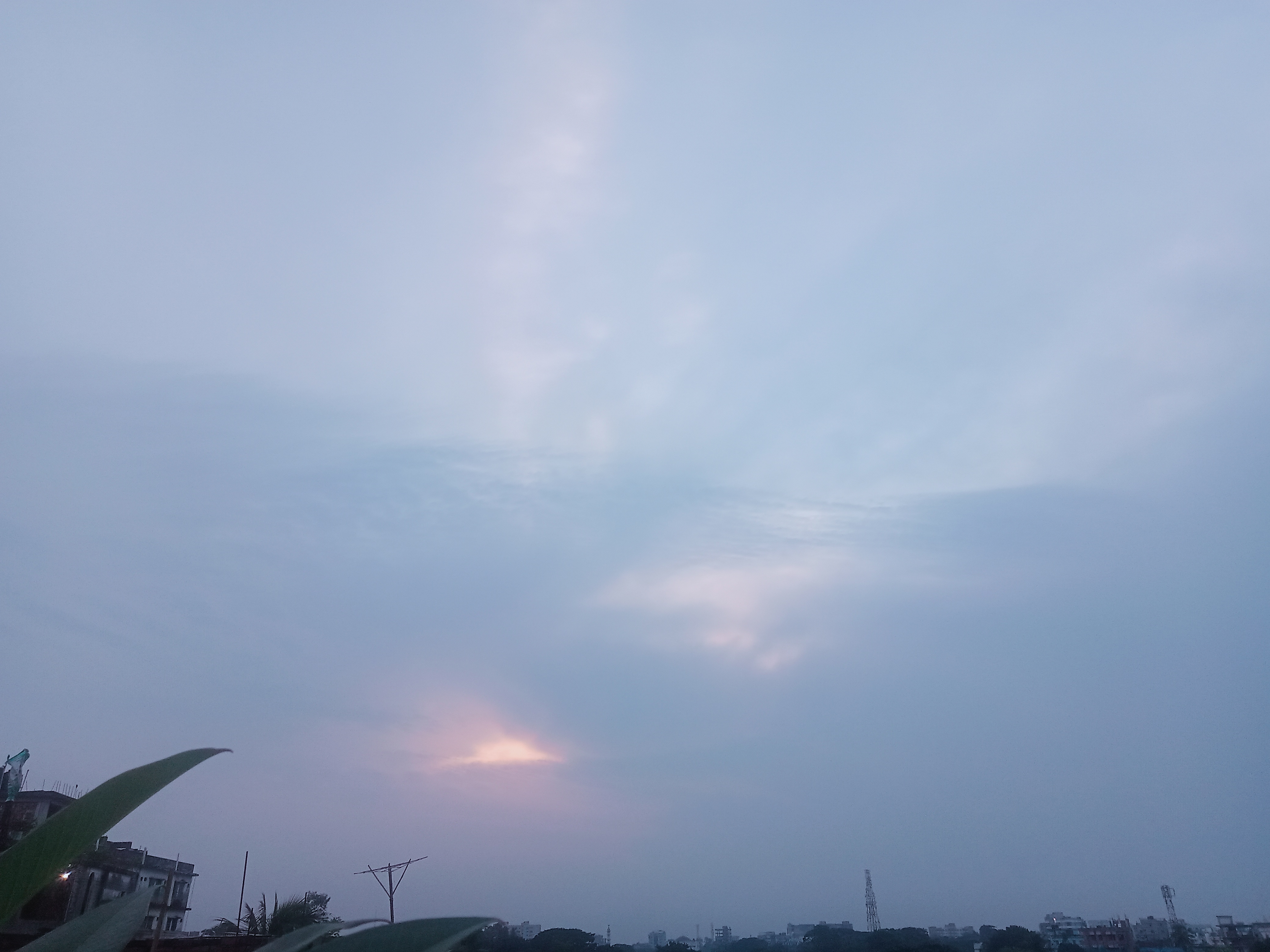 IMG20240903054841.jpg