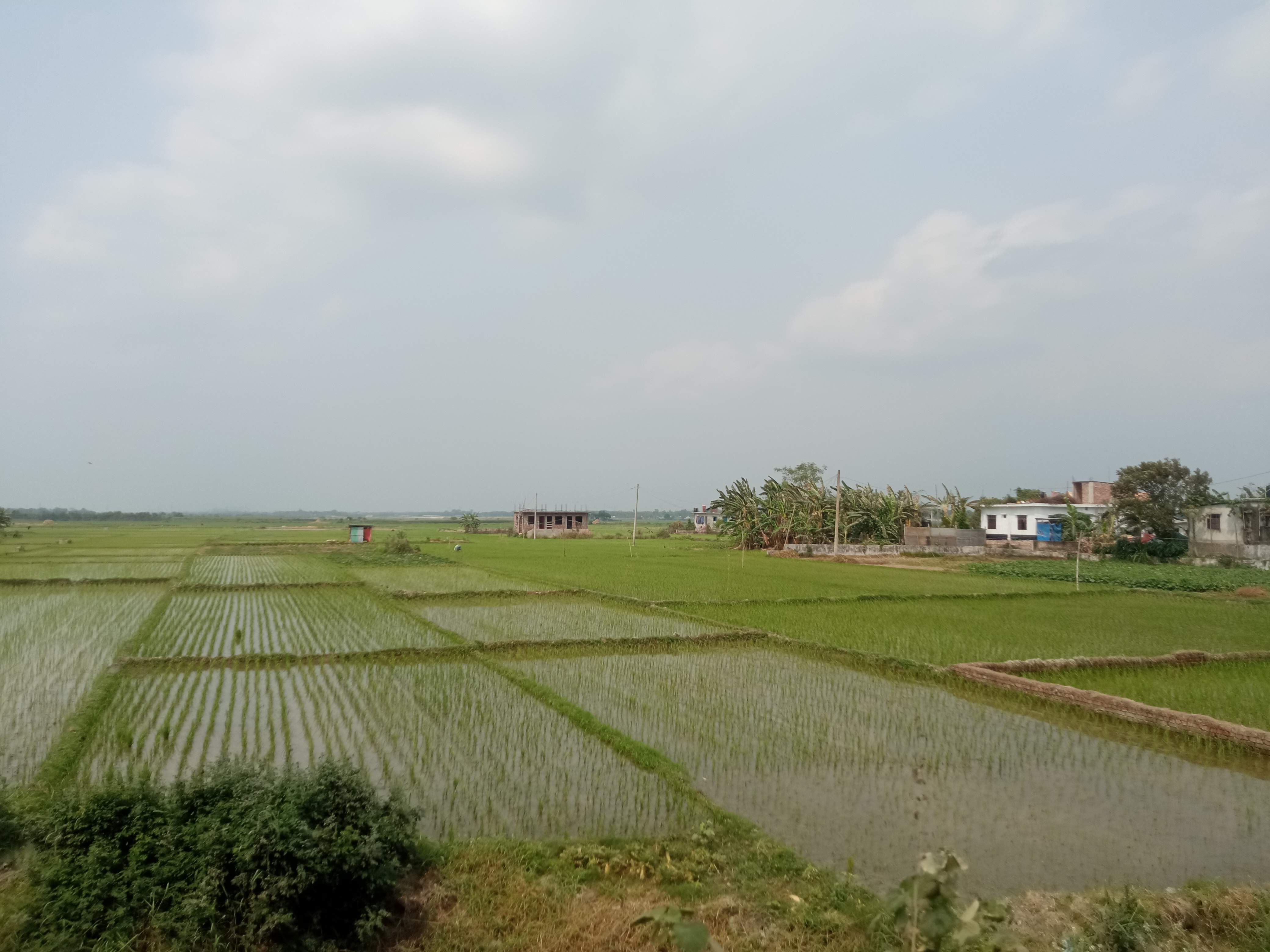প্রকৃতি (4).jpg