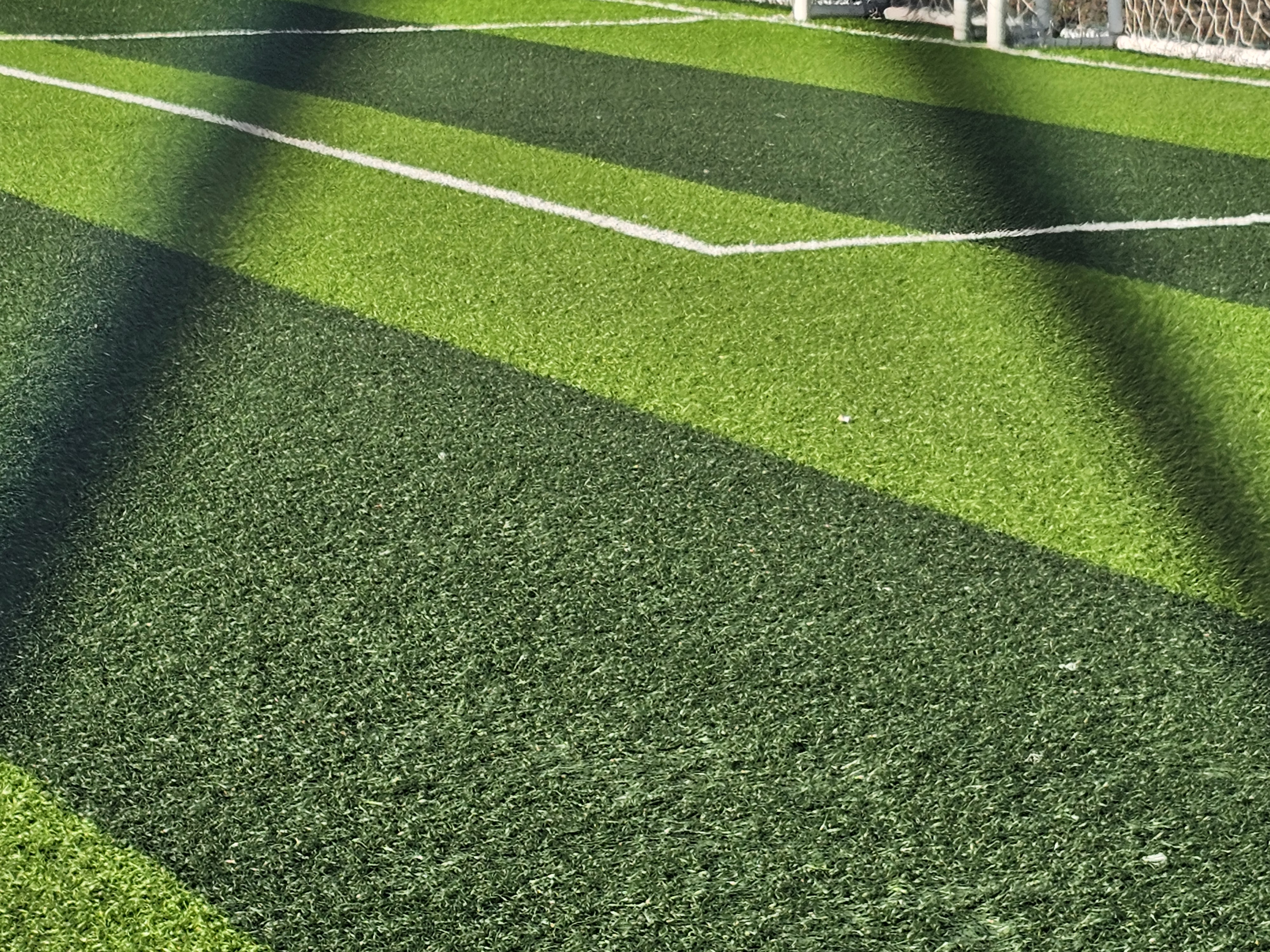 20260714_164556.jpg