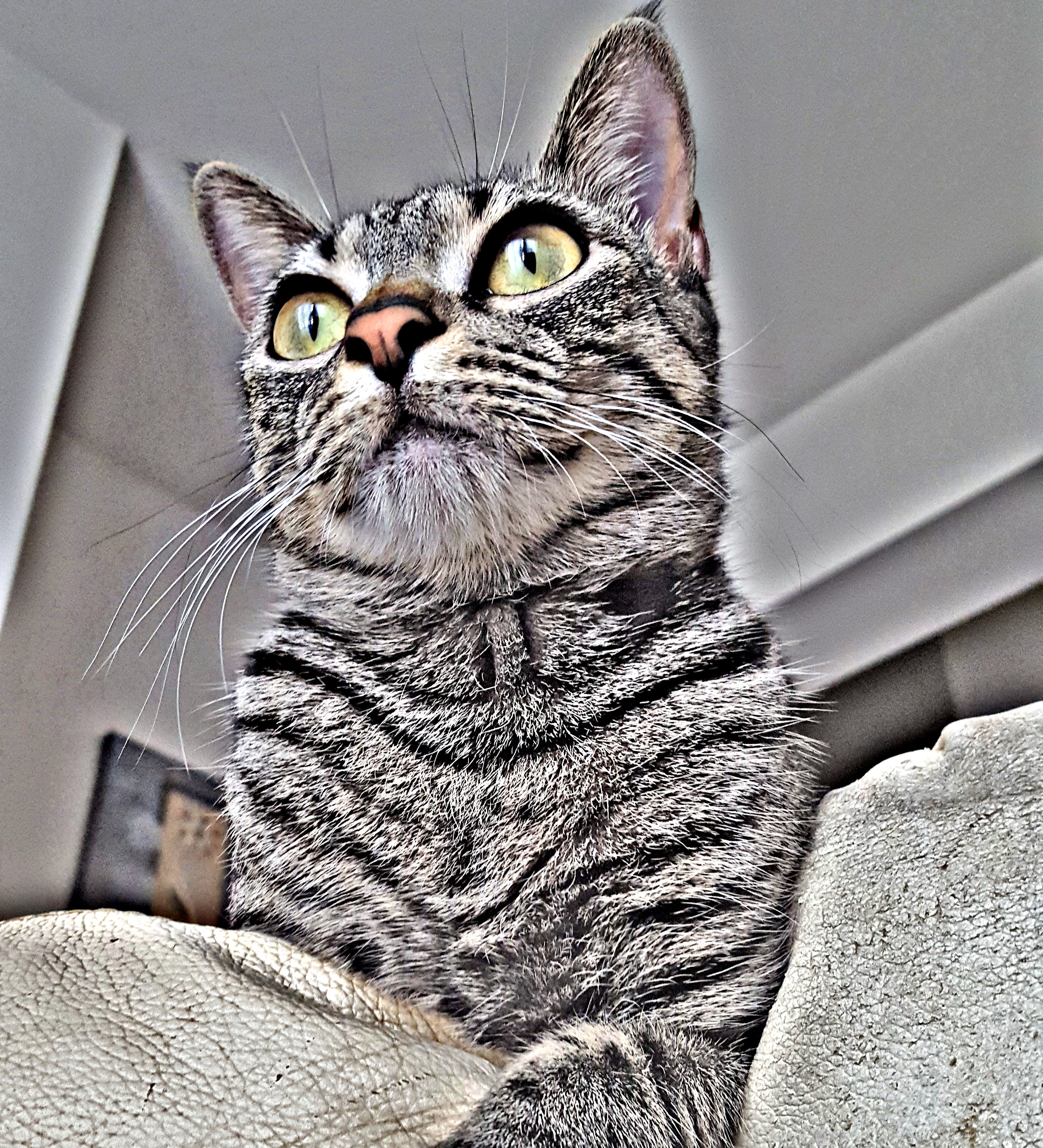 20190428_214812.jpg