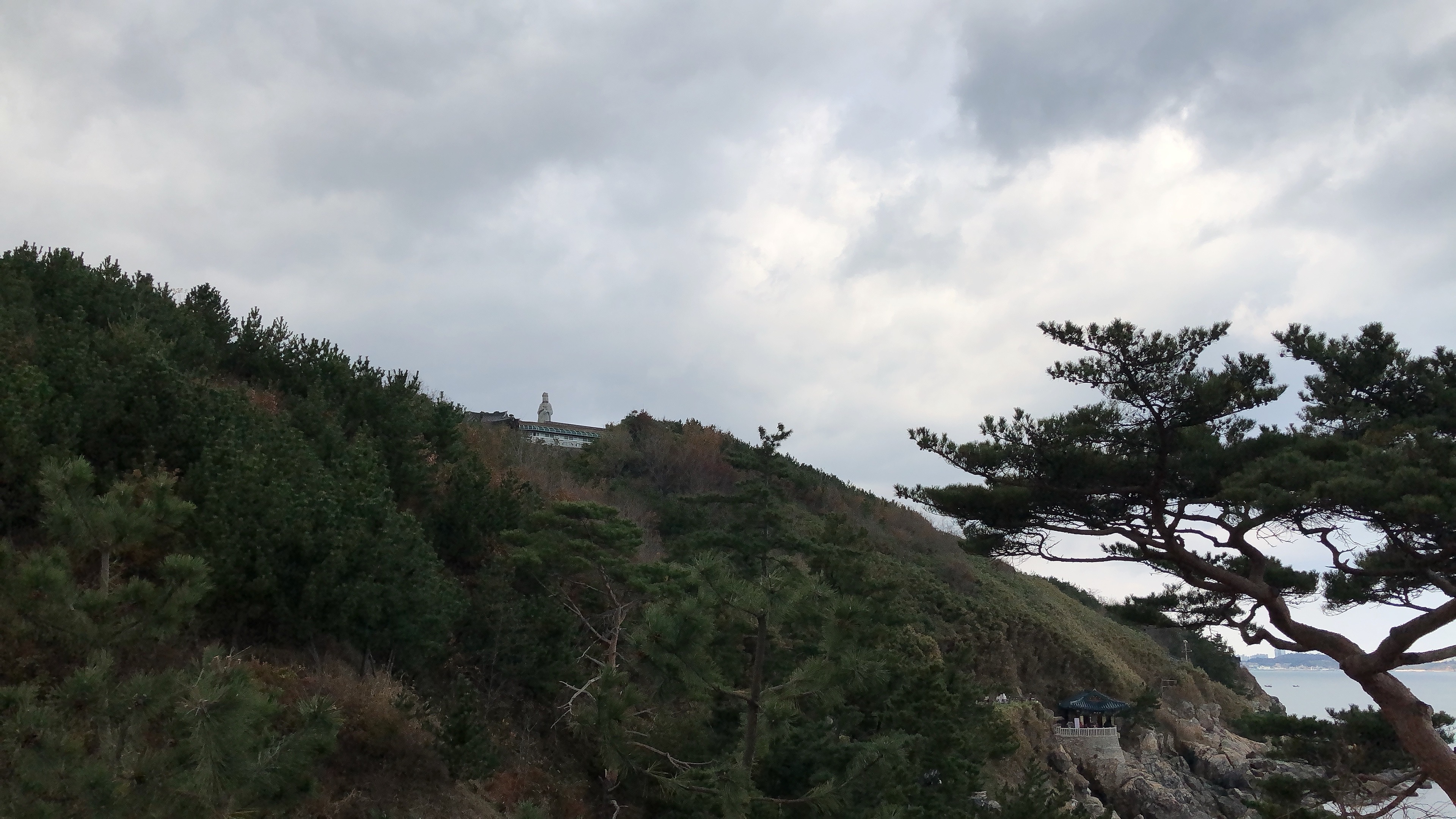 IMG_9234.jpeg