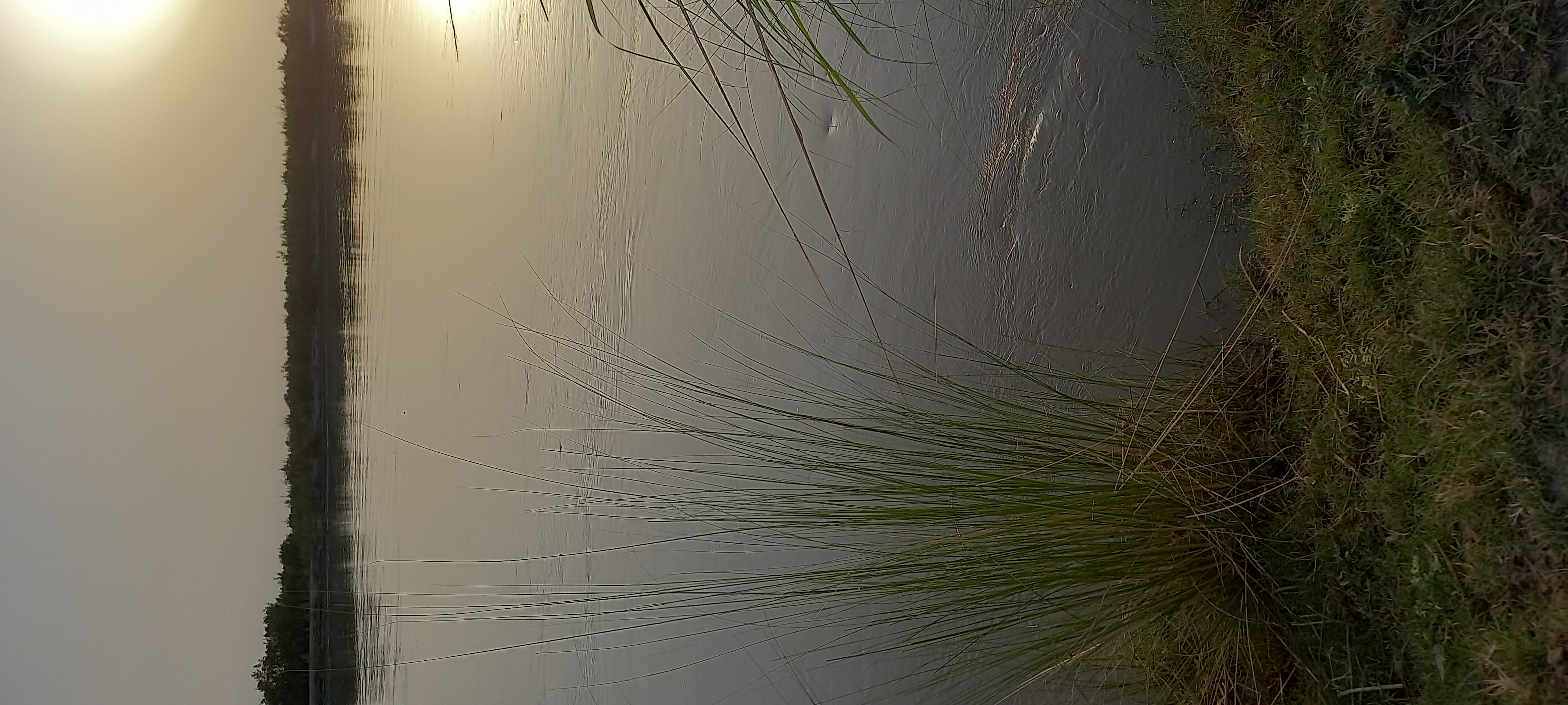 20250610_184327.jpg