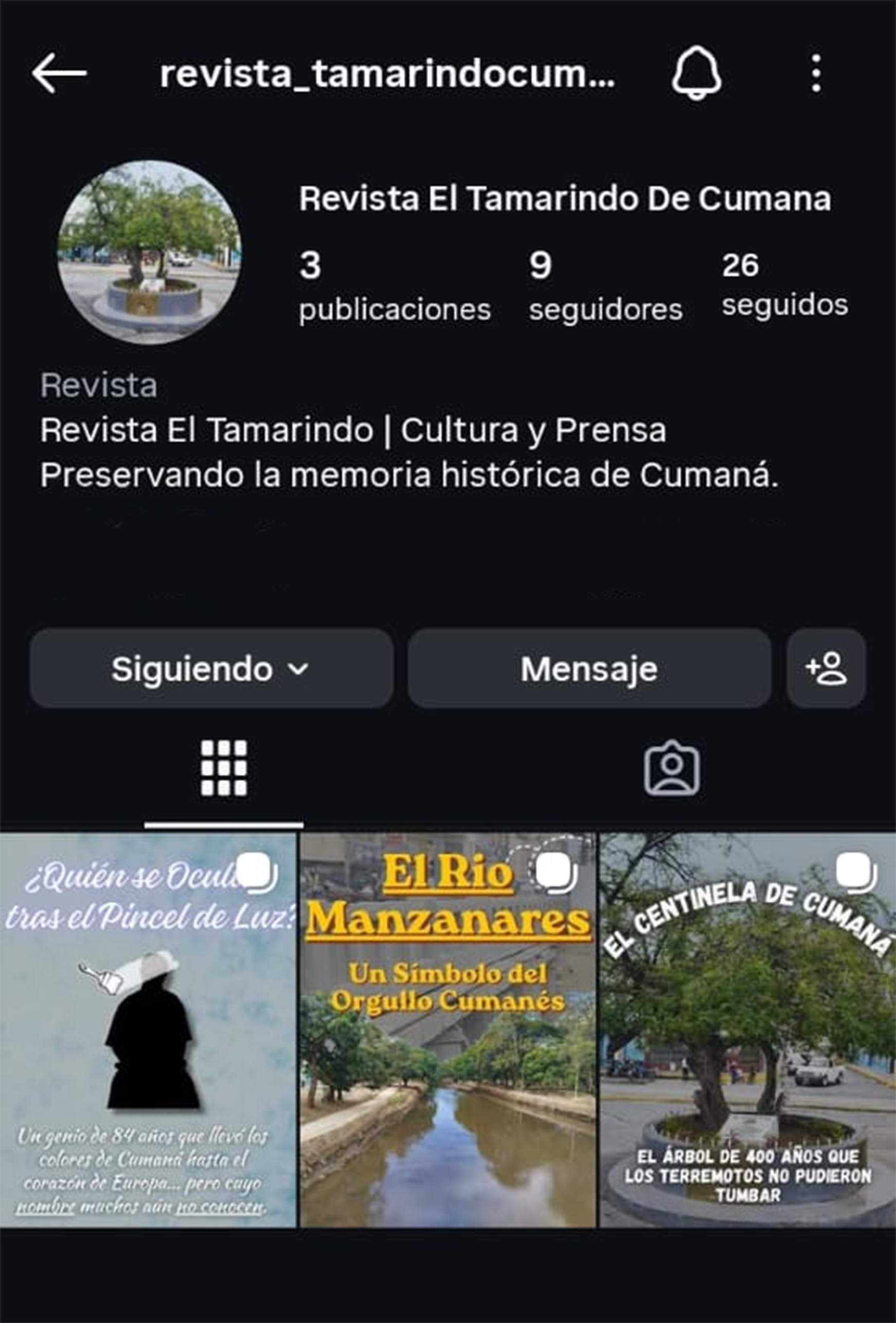 Perfil de ig.png