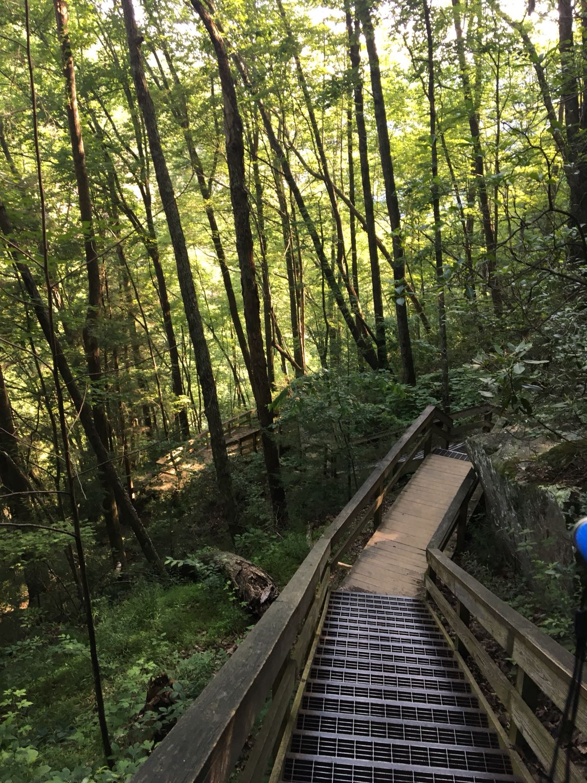 stairs nature.jpg