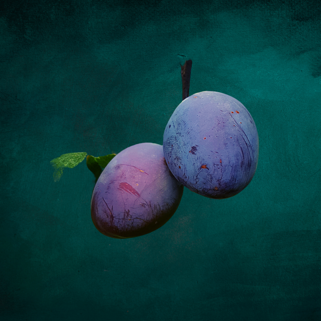 Untitled design (41).png