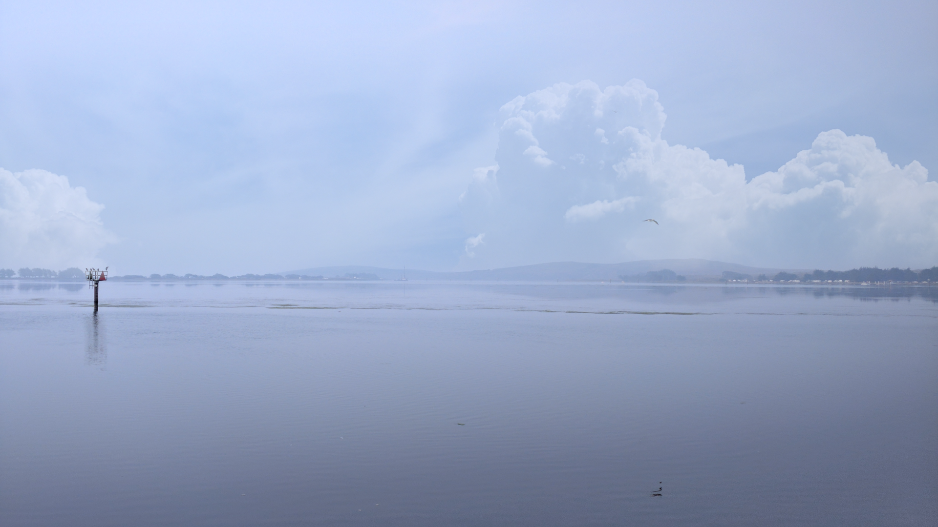 IMG_20170904_084659-bay-life-morning-fog-subsides-#318.png