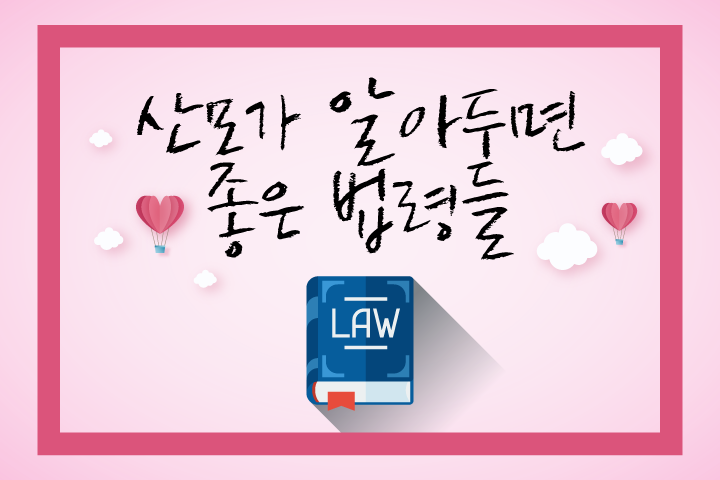title-번외(법령).png