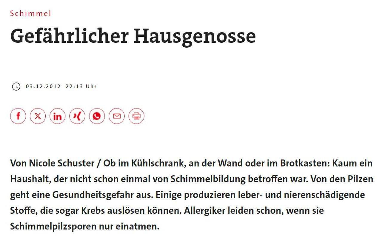 Schimmel - Gefährlicher Hausgenosse.jpg
