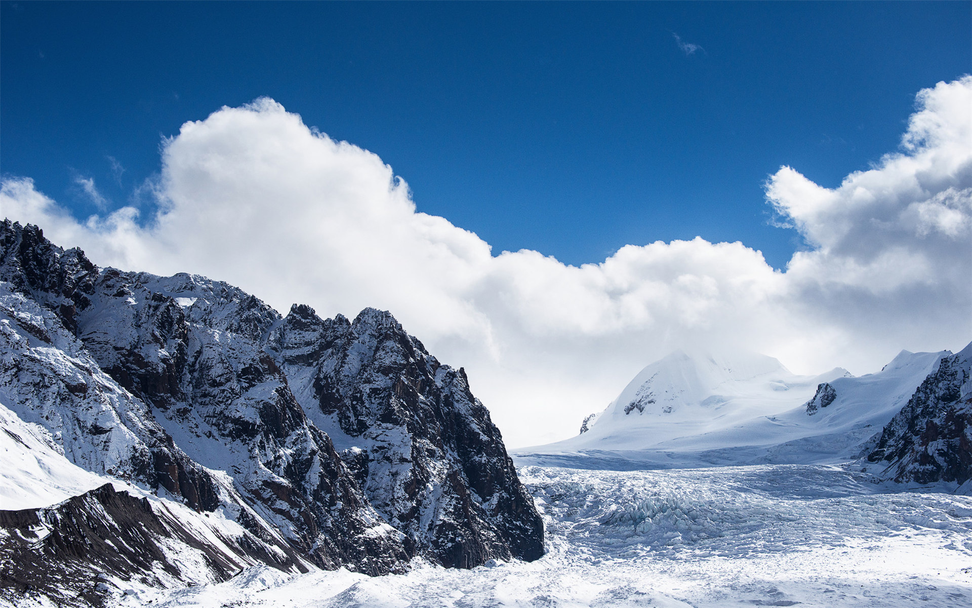 《飞鸟与夏花》每天一首自译飞鸟集（224/325） - Translate a poem from Stray Birds every day