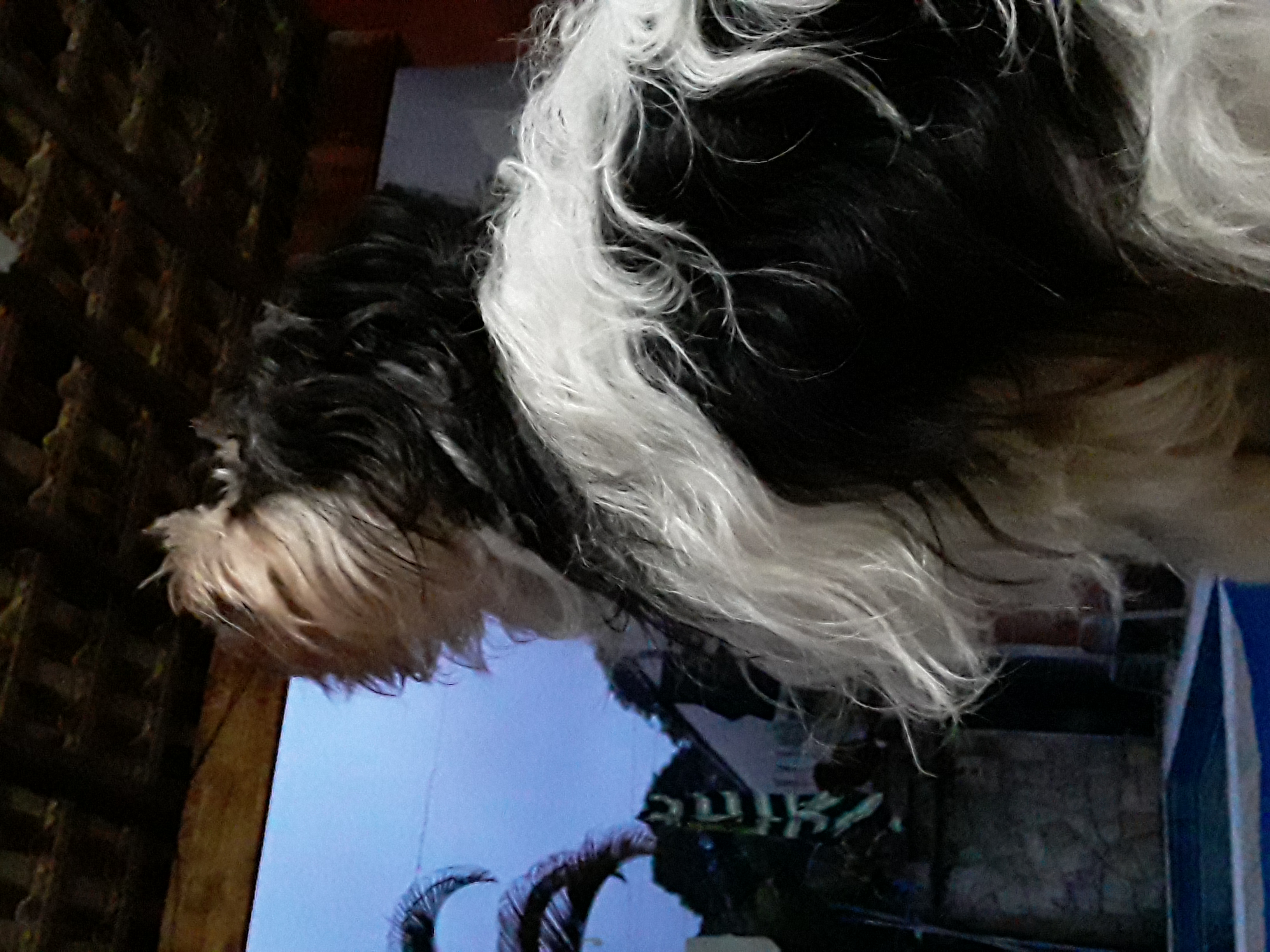 20200317_183246.jpg