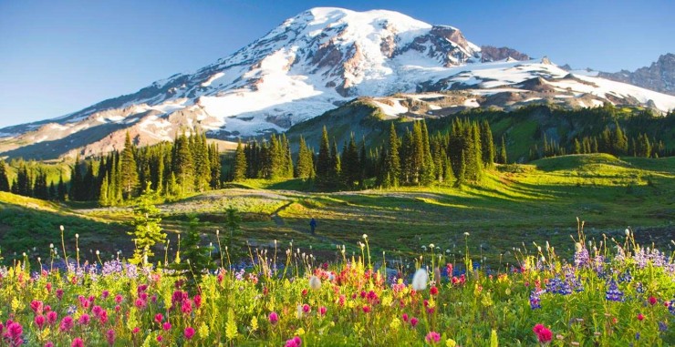 Rainier2-740x381.jpg