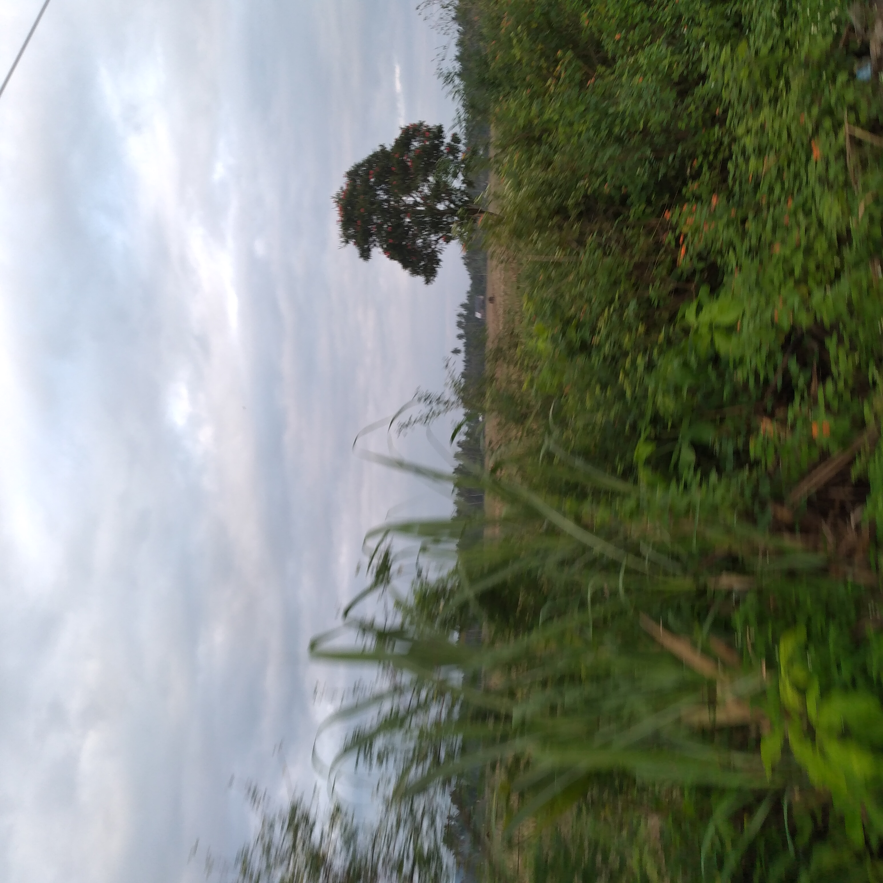 20221228_070759.jpg