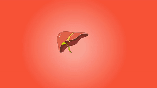 liver1.gif
