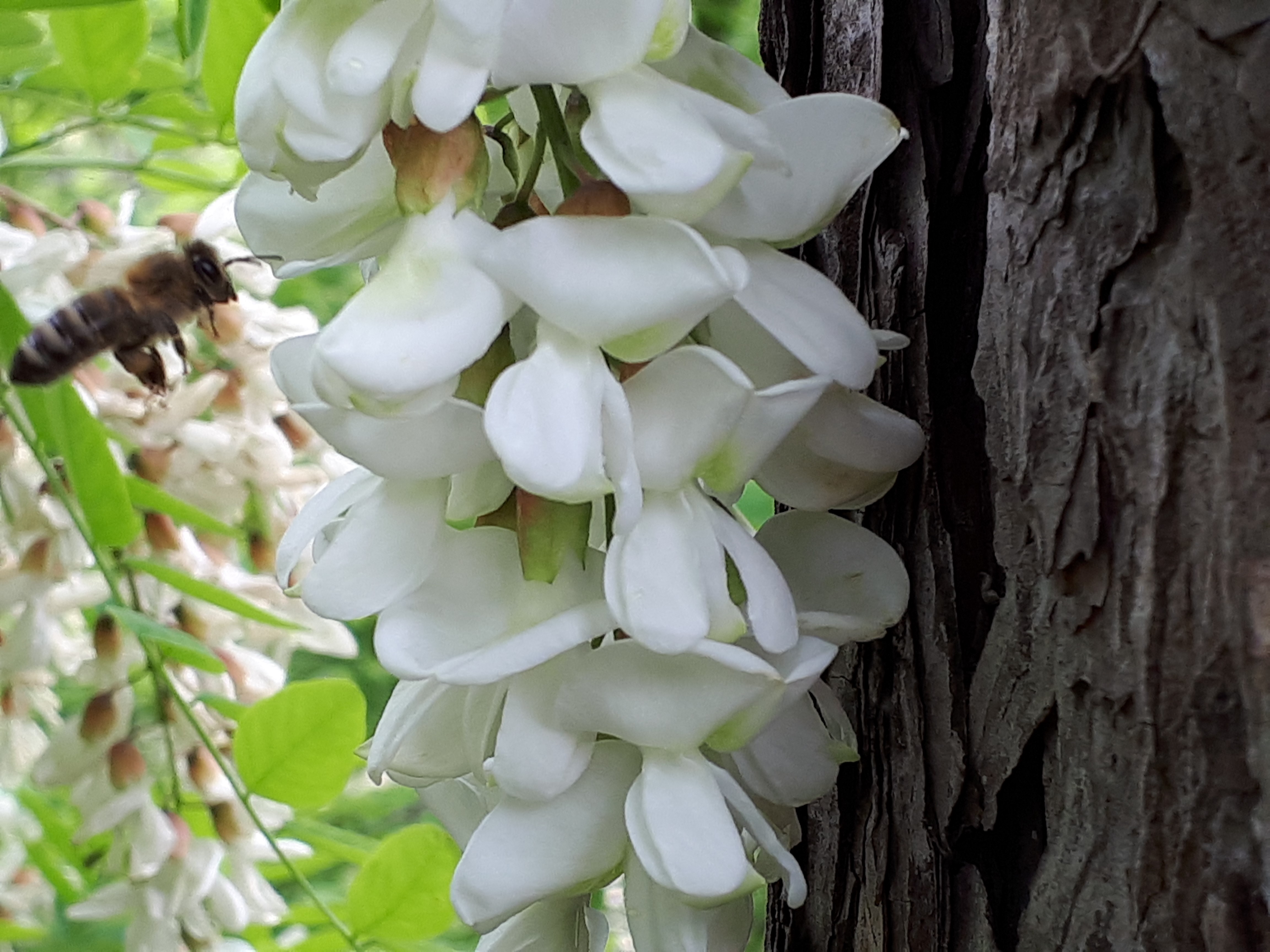 20190519_120438.jpg