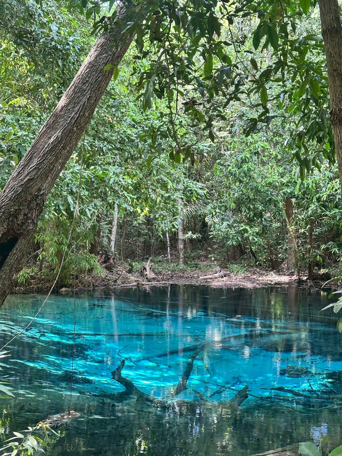 17755594758901317525479835142759.jpg