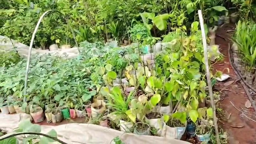 VideoCapture_20260816-201618.jpg