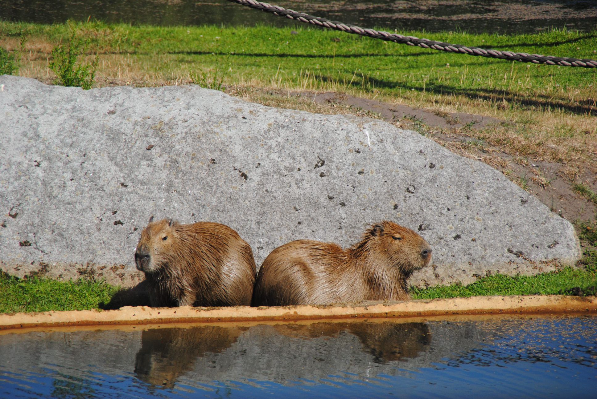 image023.jpg