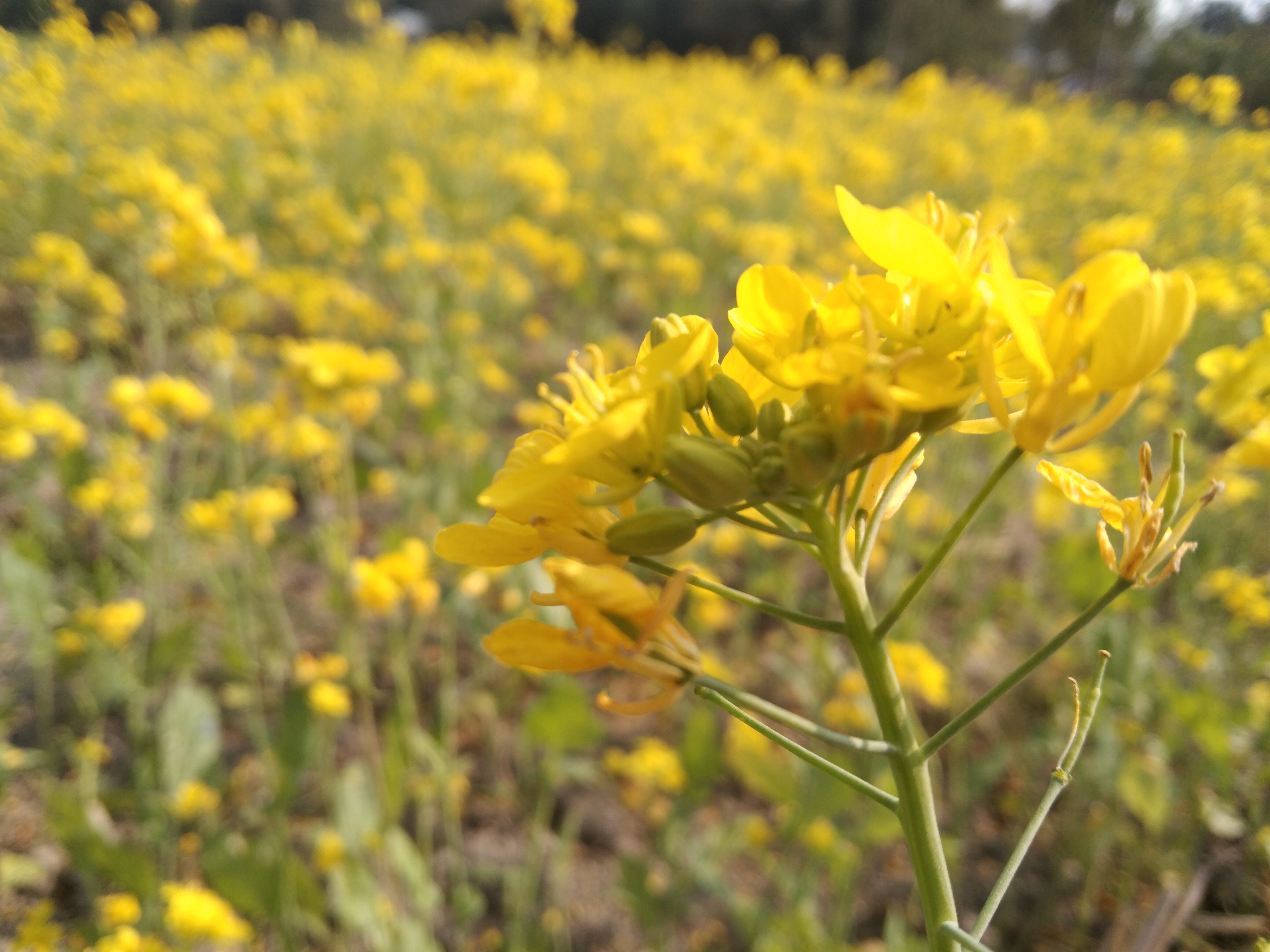 IMG_20220127_140142.jpg