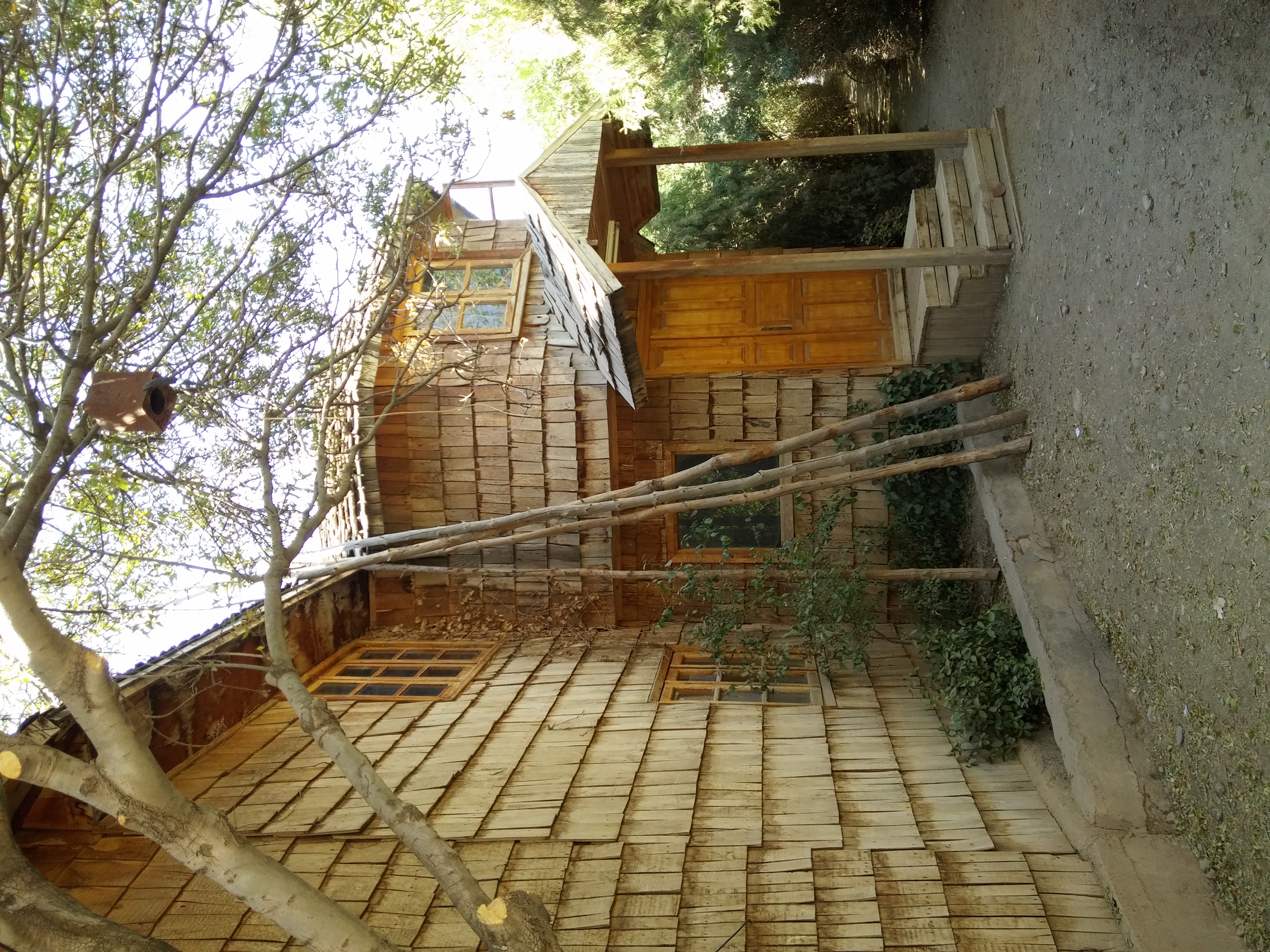20150927_122905.jpg