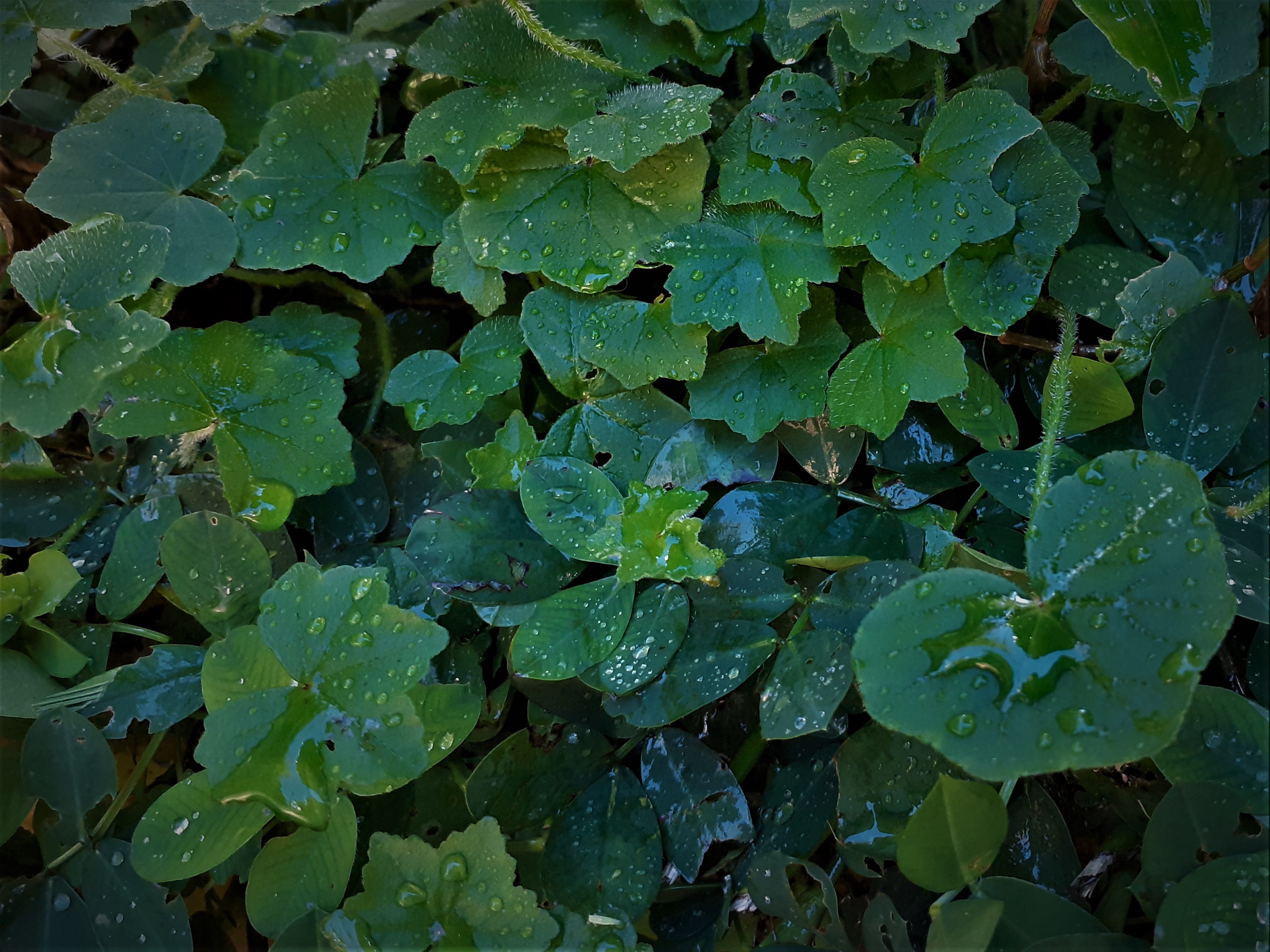20220103_162909 (3).jpg