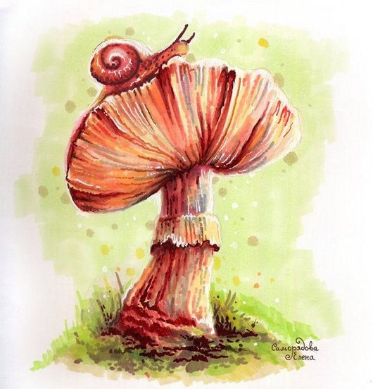Qst6Y.jpg