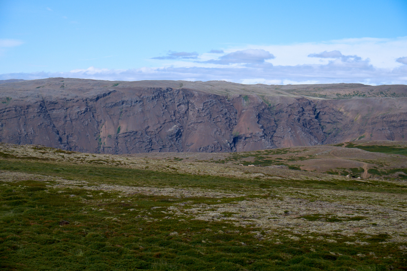 DSCF4483.jpg