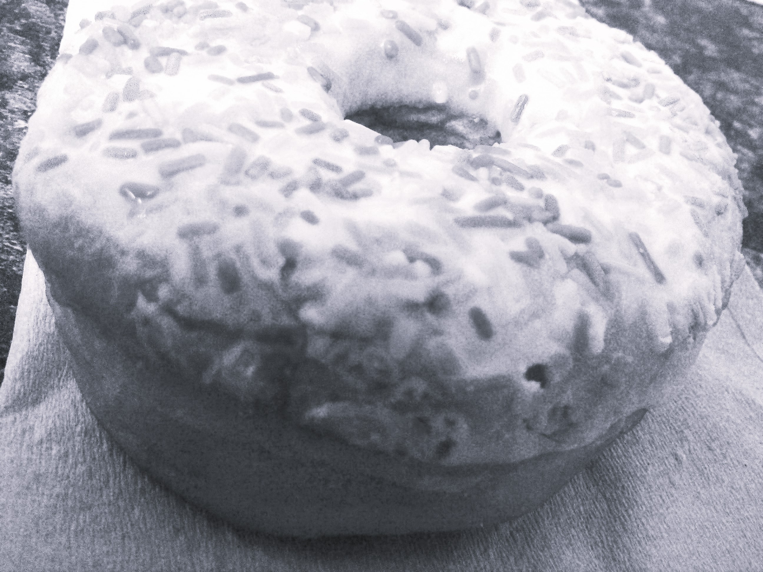 Food Photography B&W, Single & Springle Covered BnW Donut Jun 2 2017.jpg
