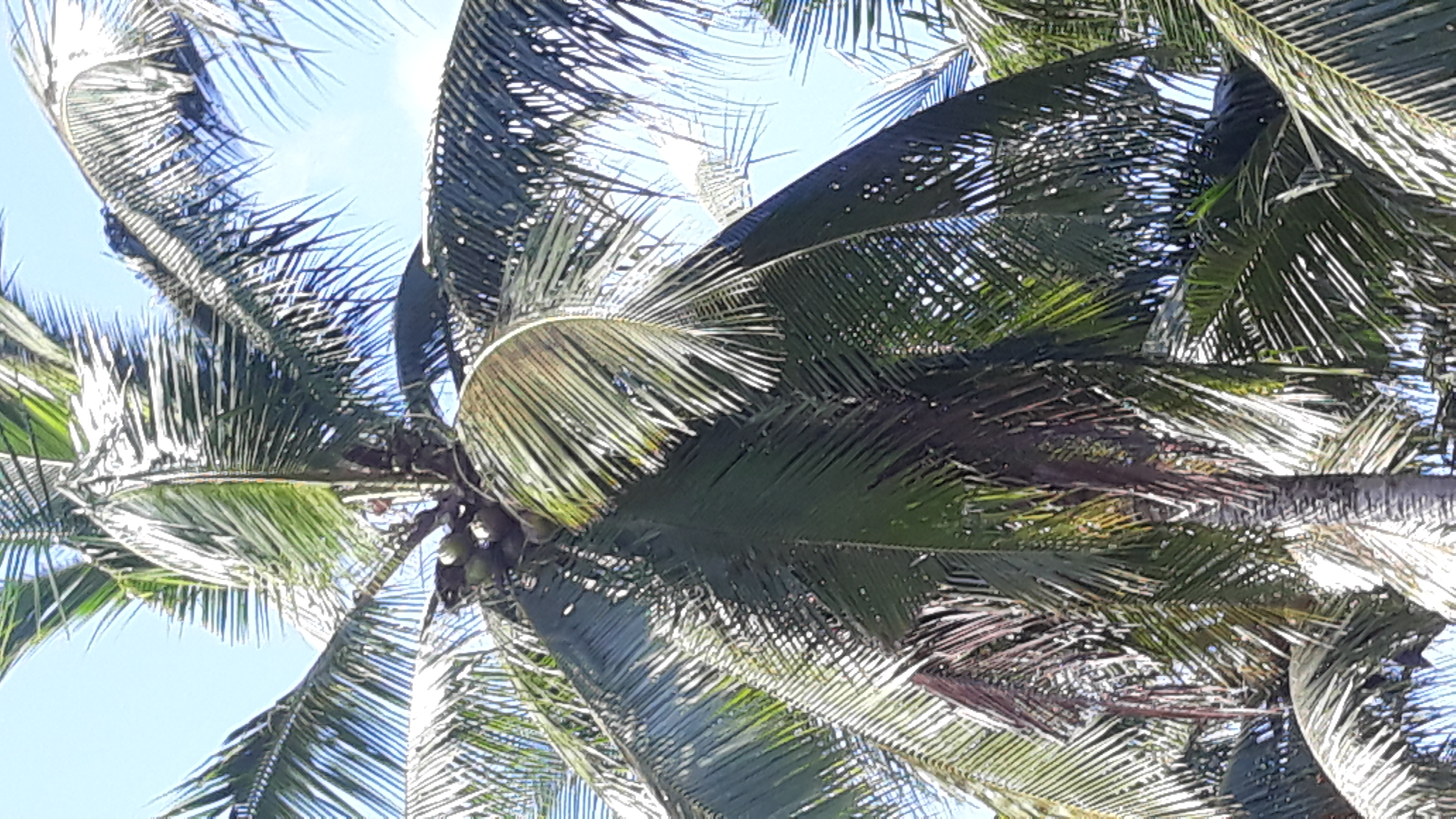 20220112_092632.jpg