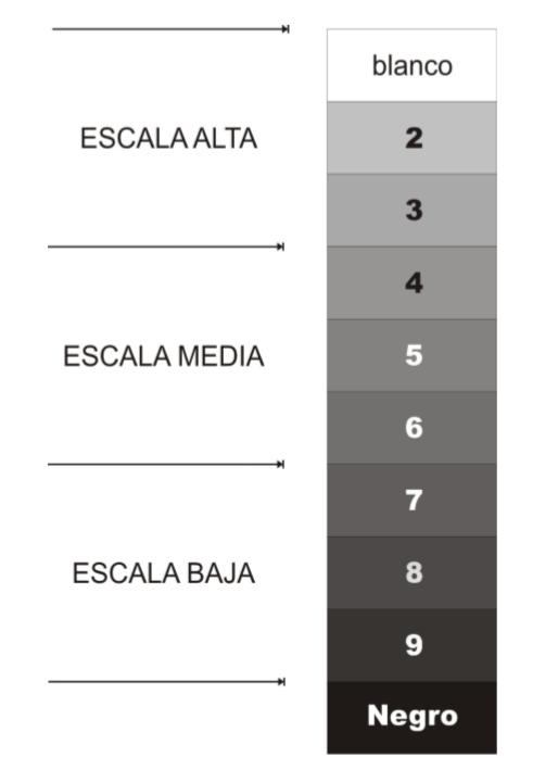 La Importancia Del Circulo Cromatico Para Artistas Y Disenadores