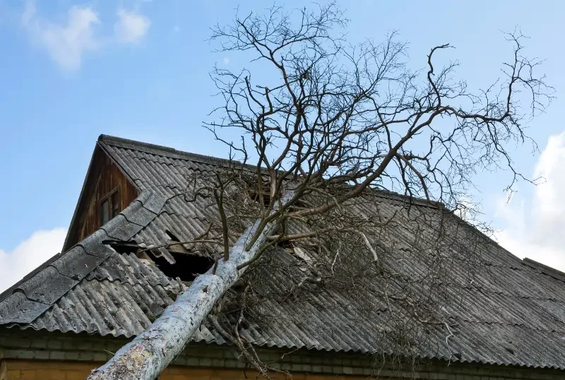 Your-Guide-to-Selling-a-House-With-Storm-Damage.webp