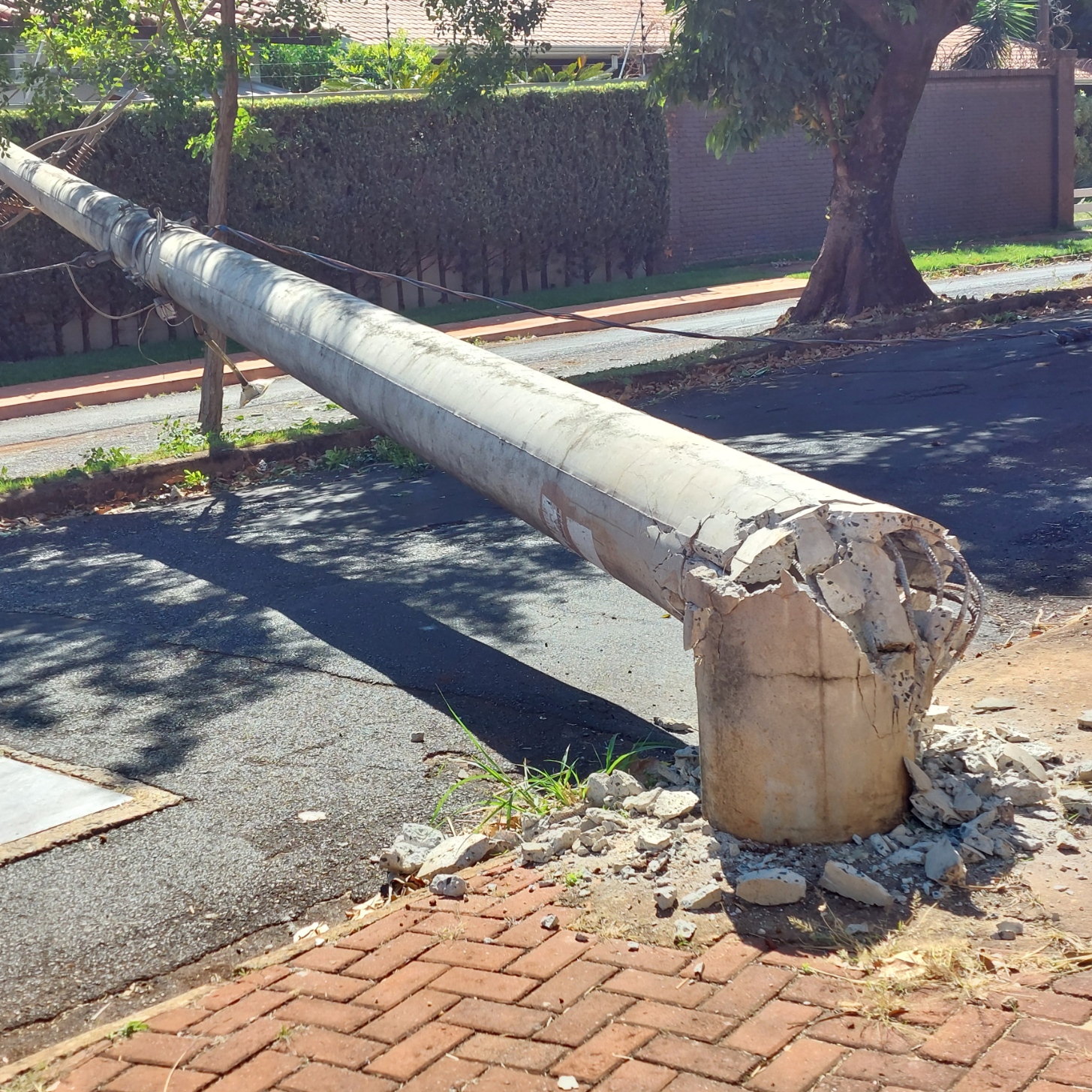 mast1.jpg