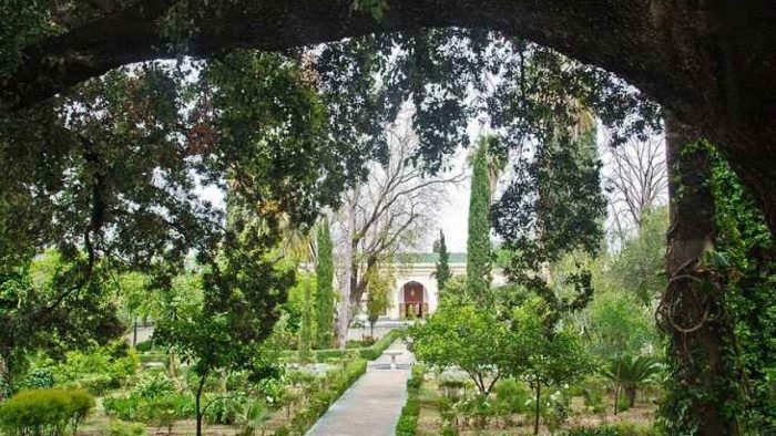 حديقة-تازيكا-الوطنية-700x394.jpg