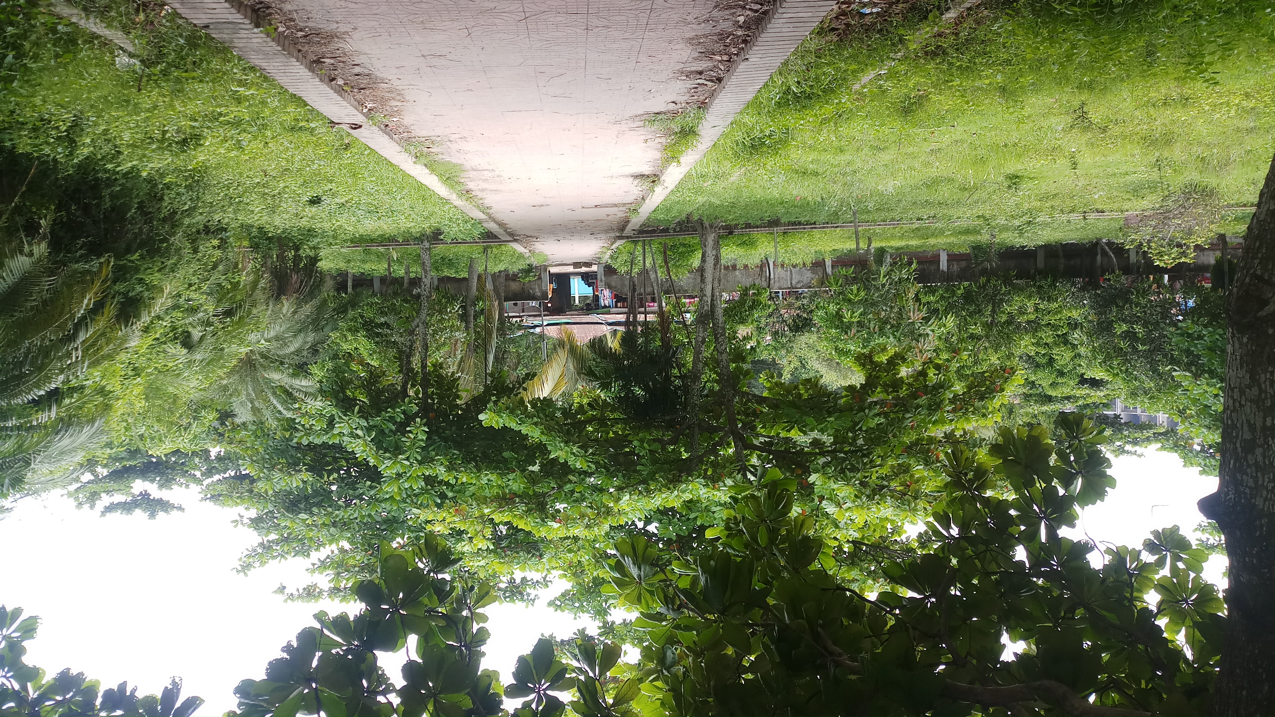 20230612_111450.jpg