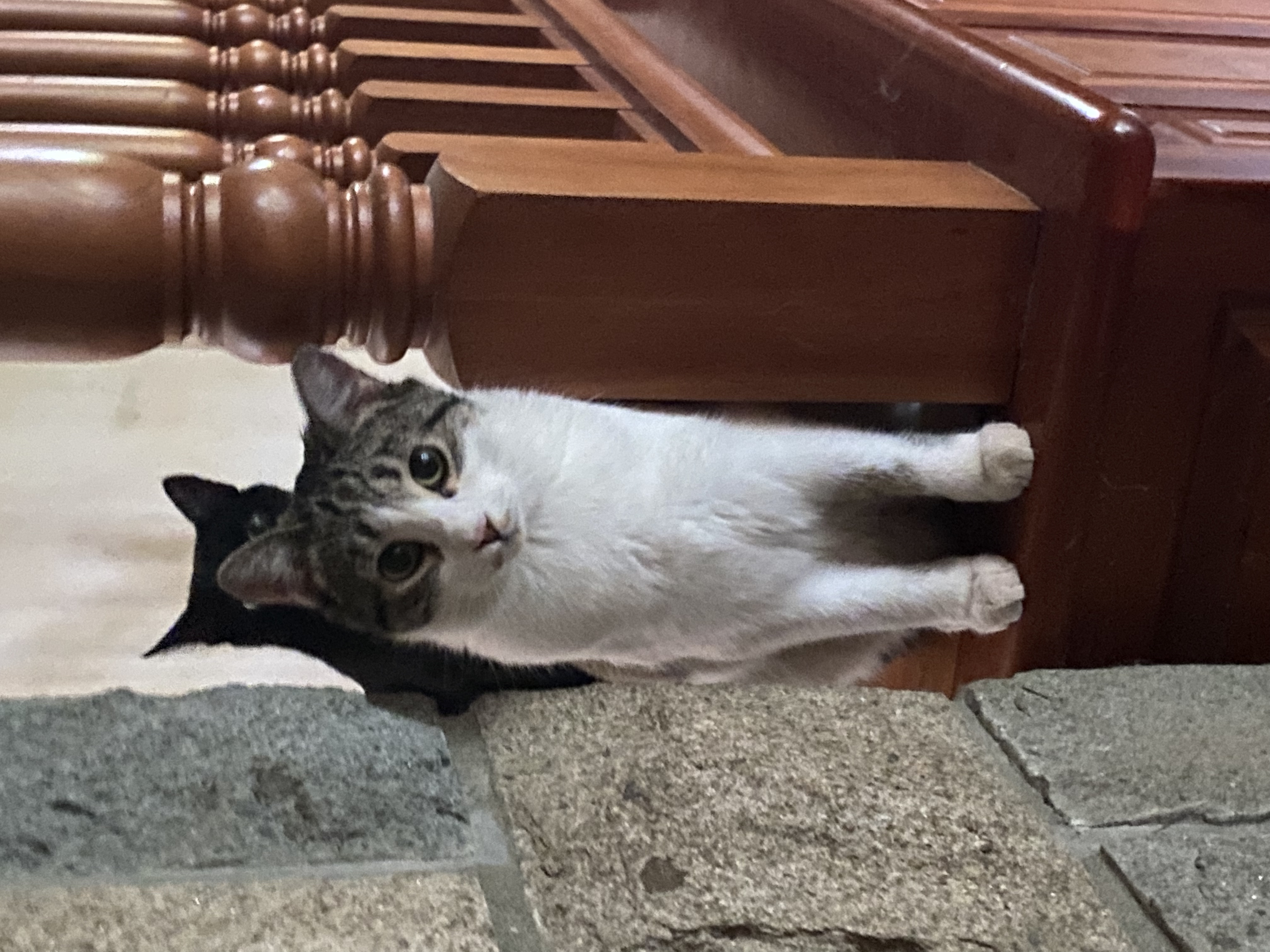 IMG_5808.jpeg