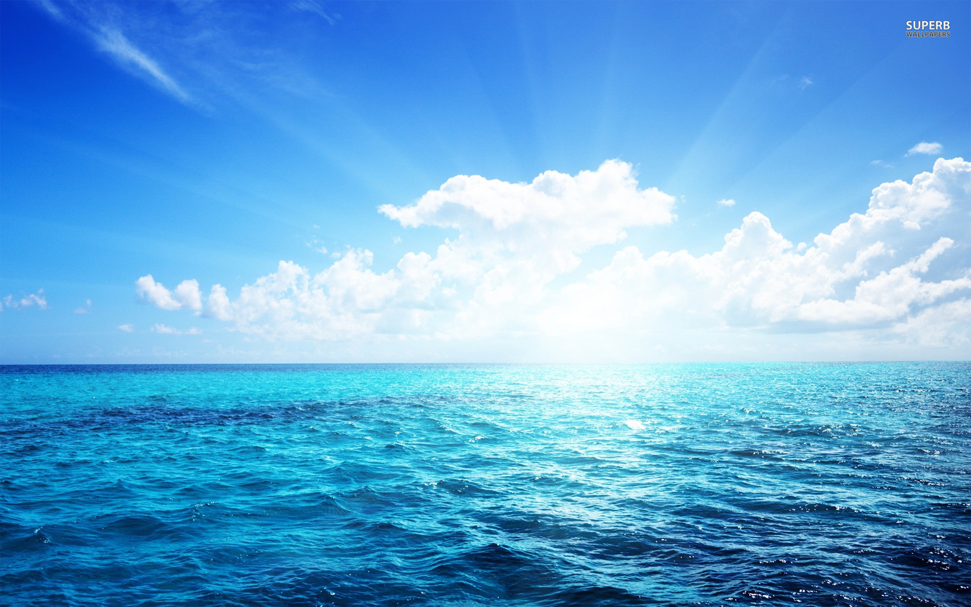 《飞鸟与夏花》每天一首自译飞鸟集（279-280/325） - Translate a poem from Stray Birds every day